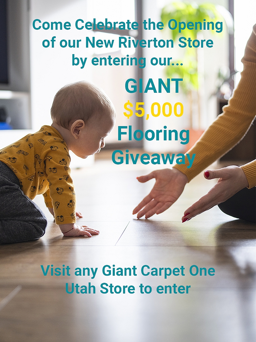 Giant Giveaway