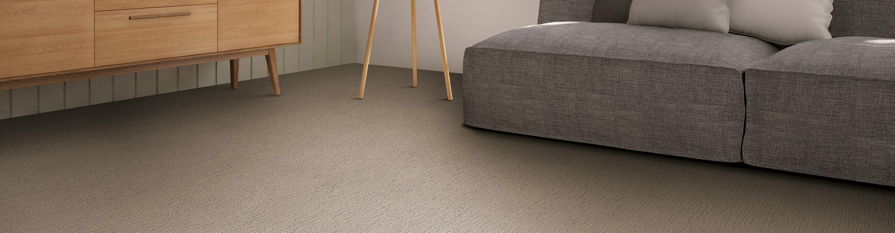 light colored carpet in darker bedroom area
